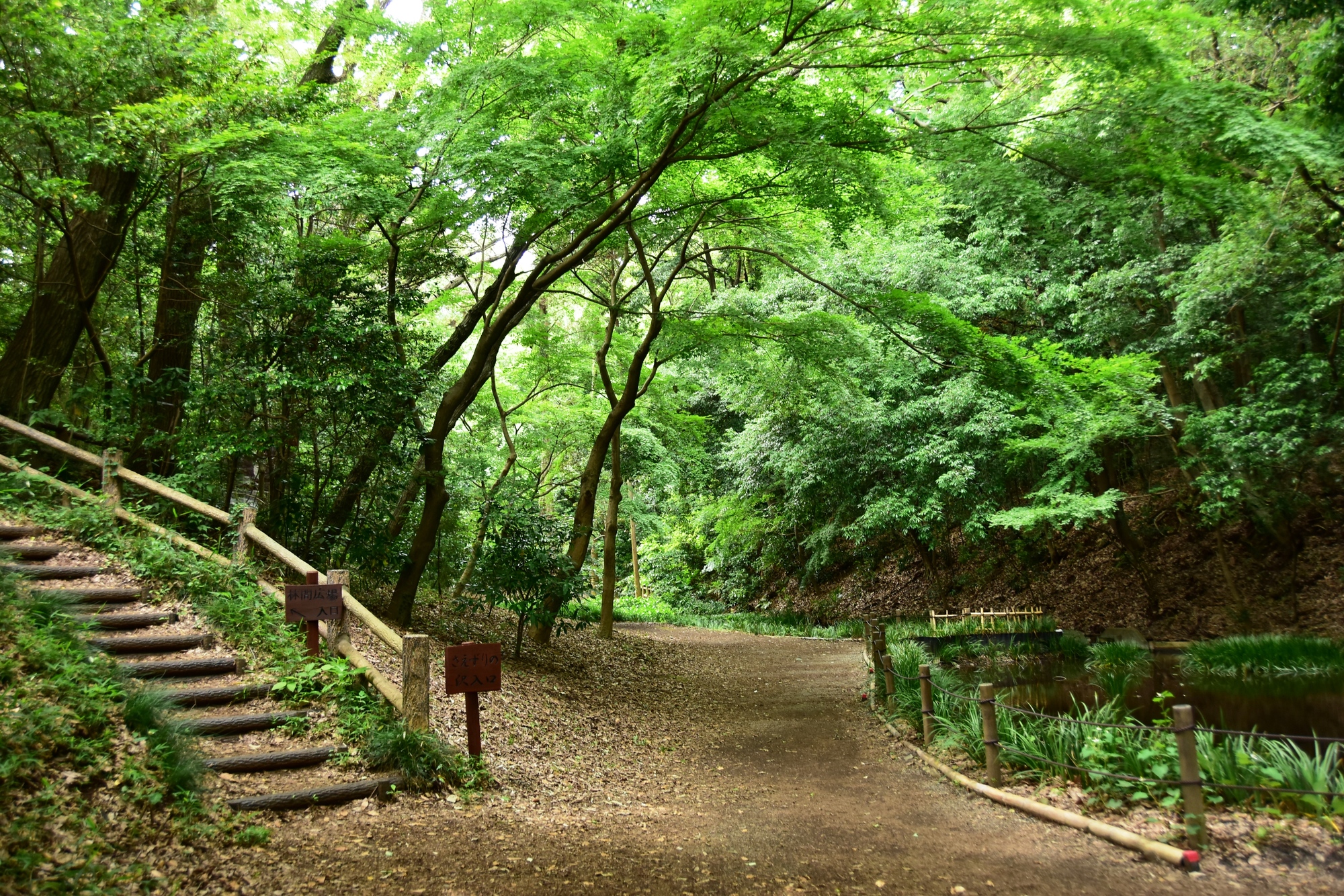 相模原市中央区