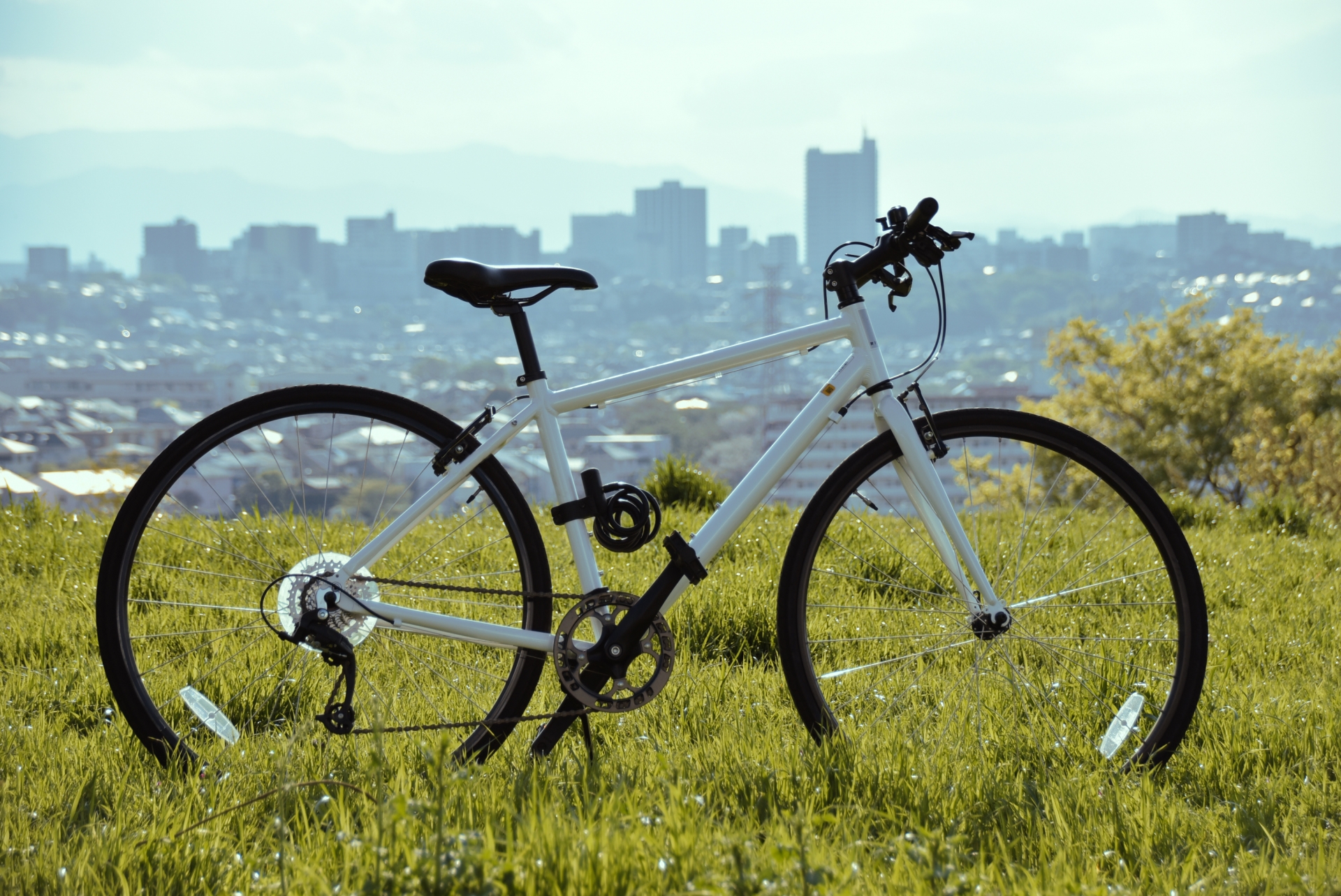 自転車の処分方法｜費用相場・防犯登録の抹消手続き・引き取り方法まで解説