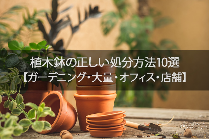 植木鉢の正しい処分方法10選【ガーデニング・大量・オフィス・店舗】