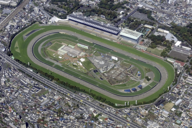 【2025年最新】府中市でおすすめのゴミ屋敷片付け業者を7社解説！
