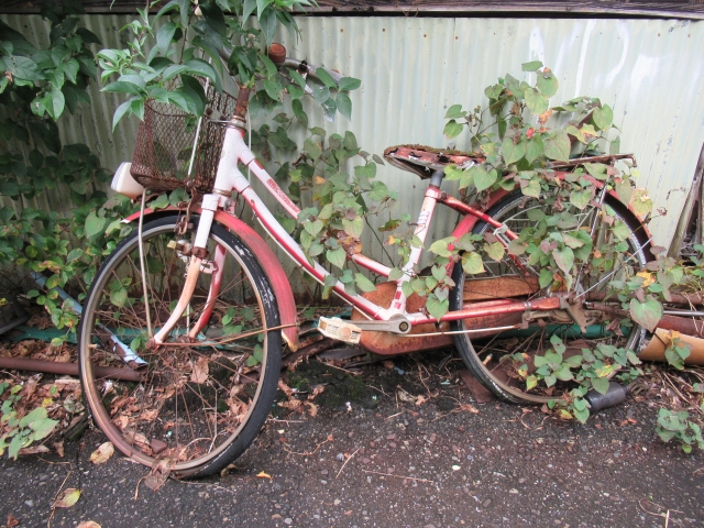 コーナンの自転車引き取りは無料？条件や代替手段まで徹底解説